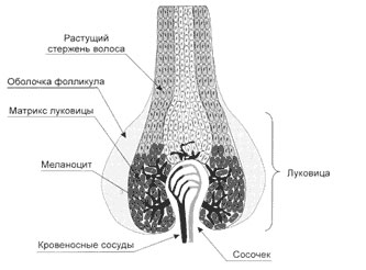 Лазерная эпиляция