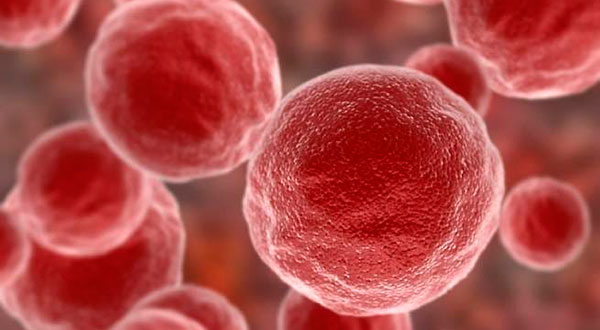 Новини у лікуванні онкології Новини у лікуванні онкології