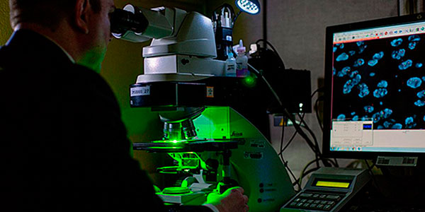 Навіщо проводити цитогенетичне дослідження Навіщо проводити цитогенетичне дослідження