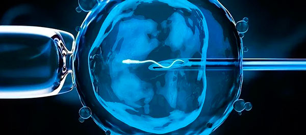 У Medical Plaza пояснили, хто може претендувати на безкоштовне ЕКЗ за програмою НСЗУ У Medical Plaza пояснили, хто може претендувати на безкоштовне ЕКЗ за програмою НСЗУ