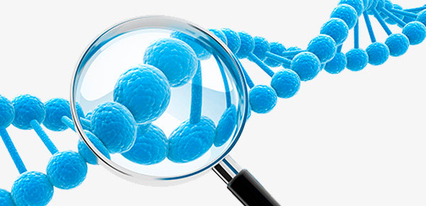 Цілі проведення ДНК аналізу